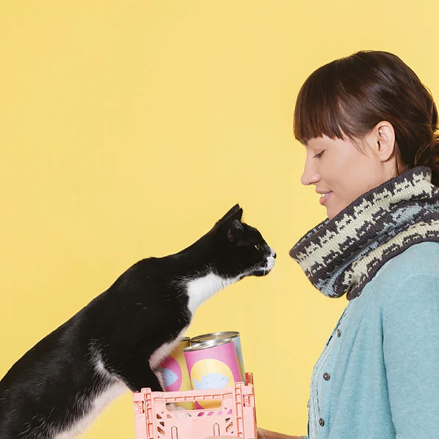 Cat Knits - Image 3
